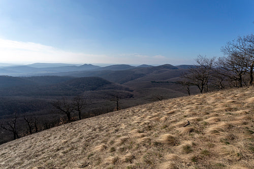 View from the Nagy-Sas-hegy in the Börzsöny