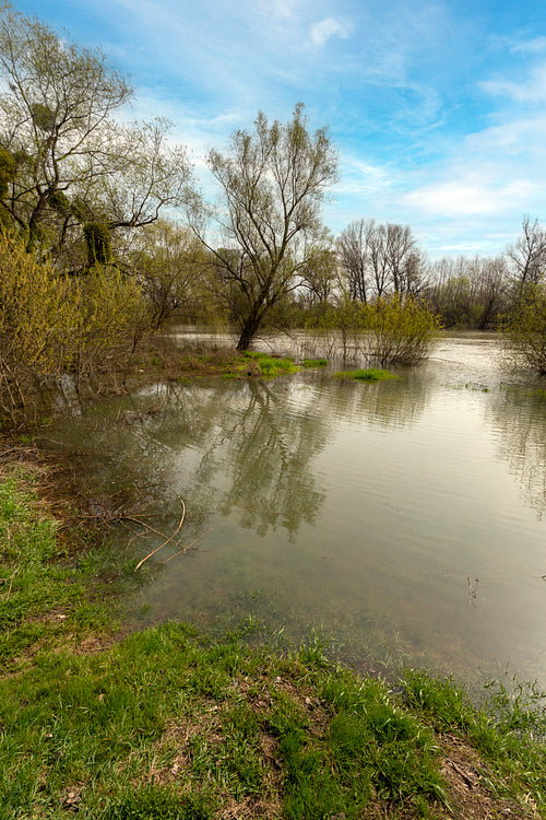 Bodrog river at Sárospatak