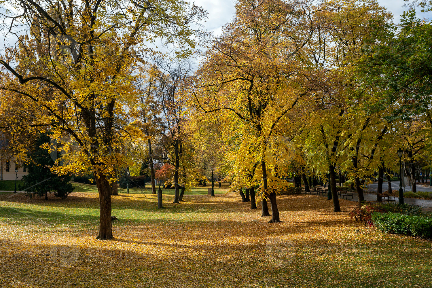 Autumn in Gyula on an sunny day