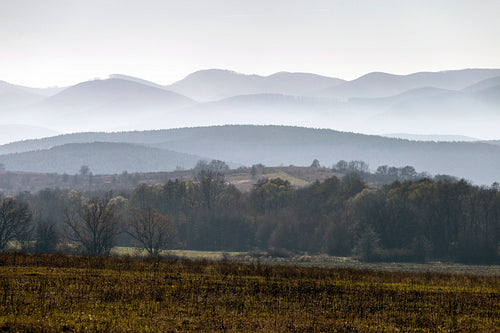 Winter landscape in the Zemplén mountains