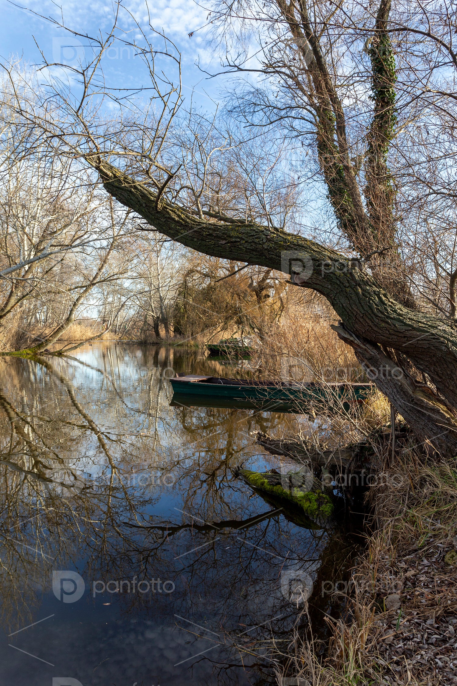 The river Danube at Szigetcsép