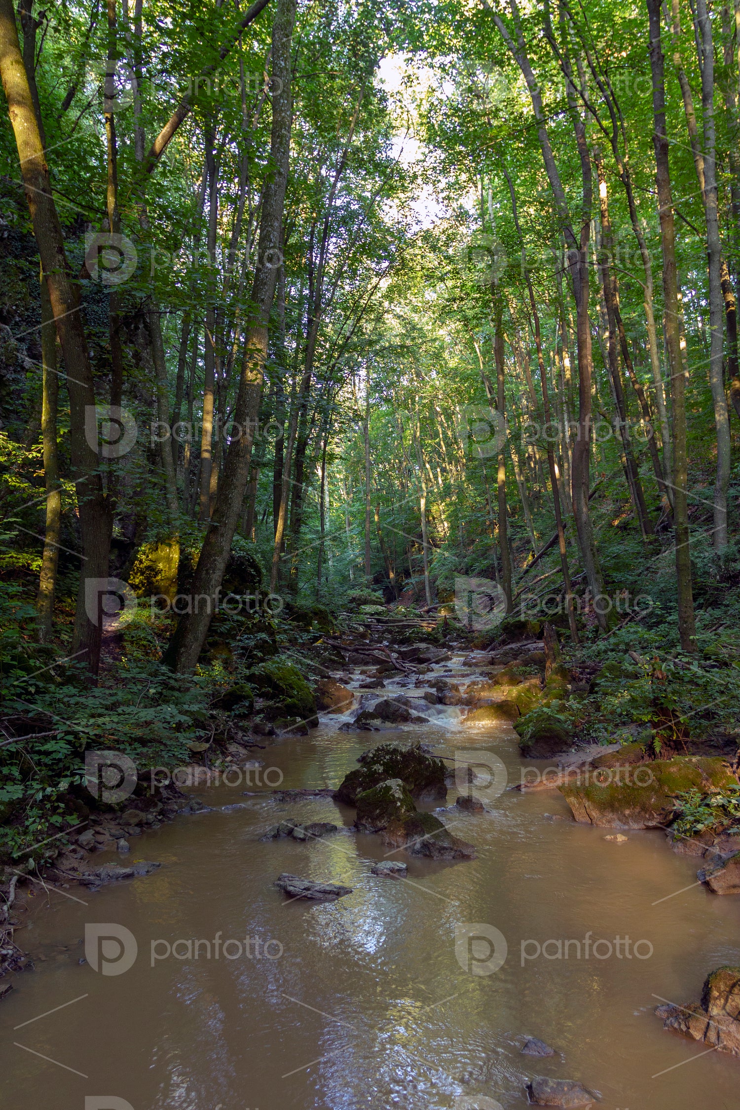 Gerence creek