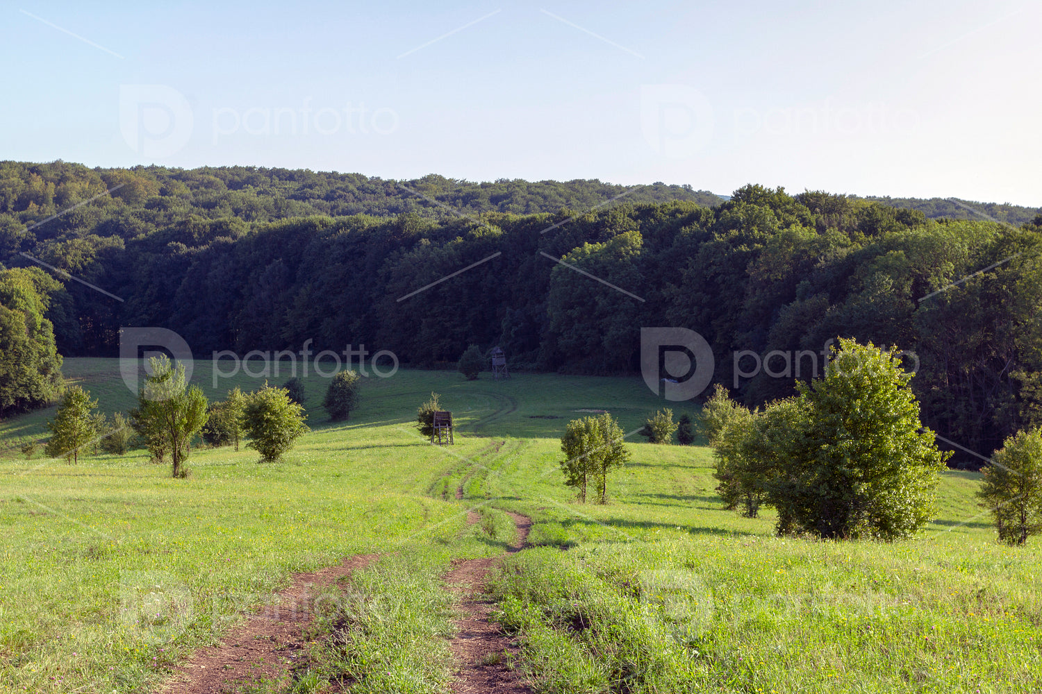 Hills of the Bakony