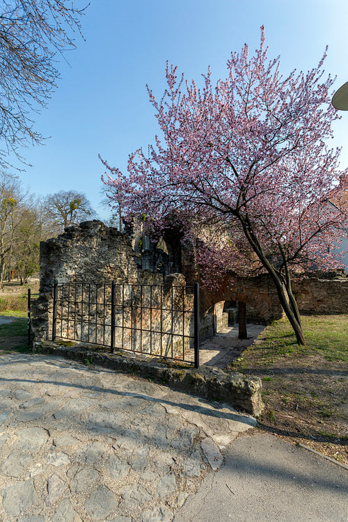 Artificial ruins in the english garden of Tata, Hungary.
