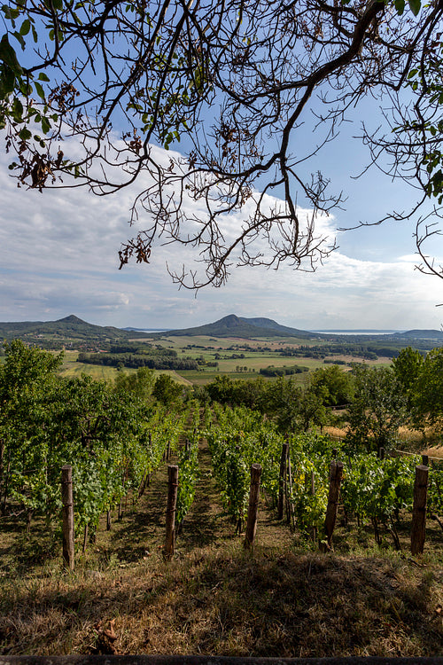 Balaton Uplands