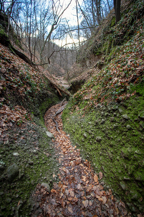 The Moonlight valley in the Visegrád Mountains