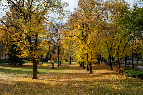 Autumn in Gyula on an sunny day