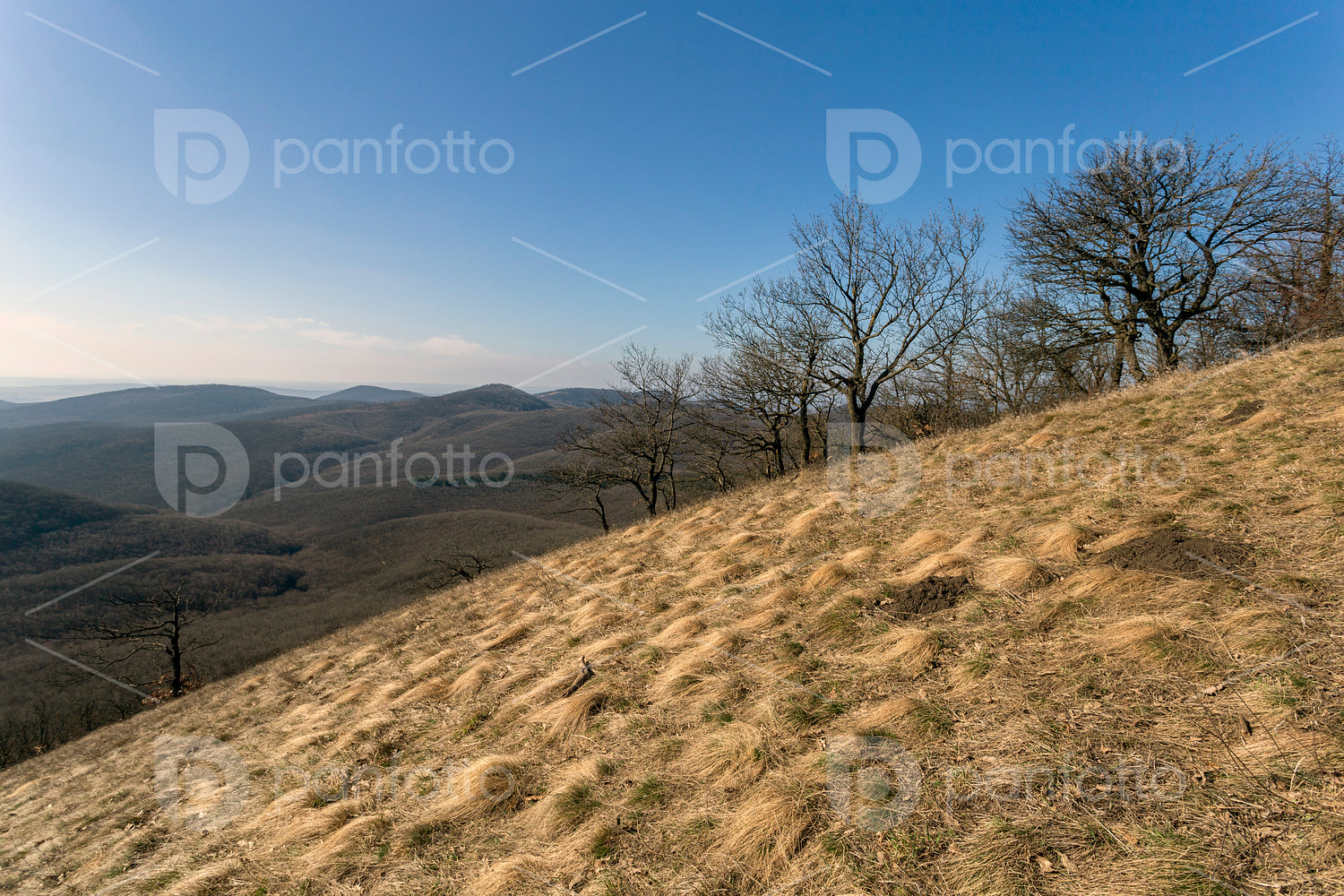 View from the Nagy-Sas-hegy in the Börzsöny