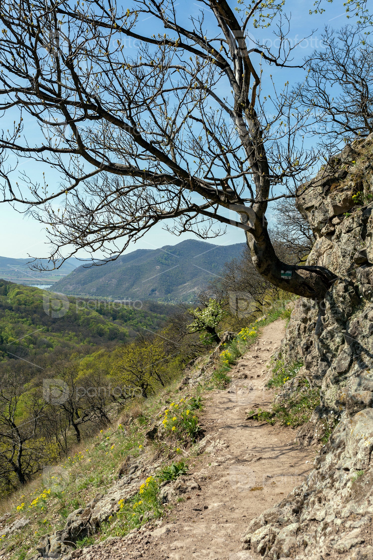 Spartacus trail in the Visegrád Mountains