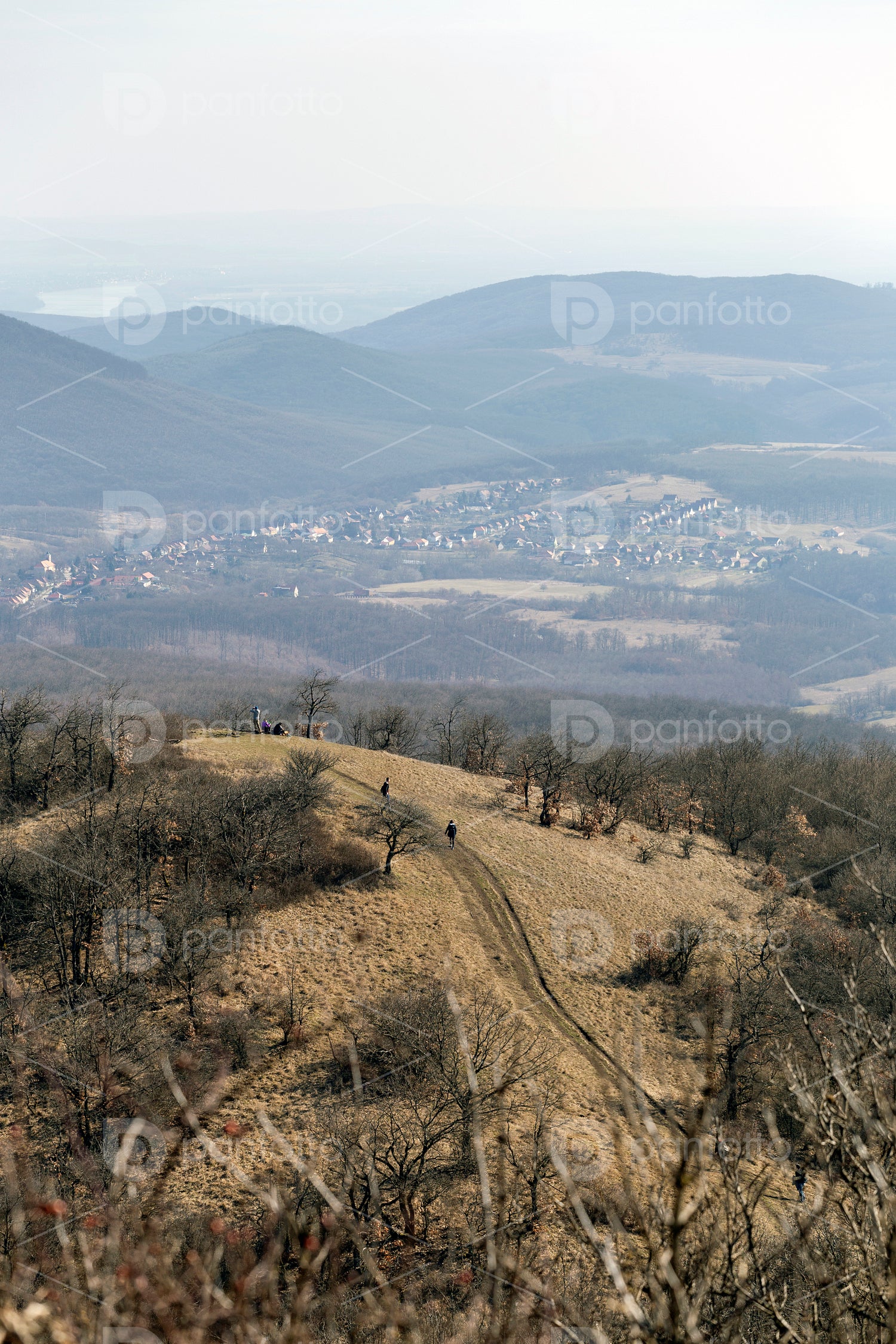 Hiking trail on the Nagy-Sas-hegy in the Börzsöny