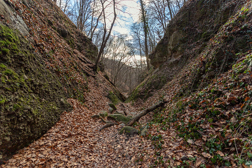 The Moonlight valley in the Visegrád Mountains