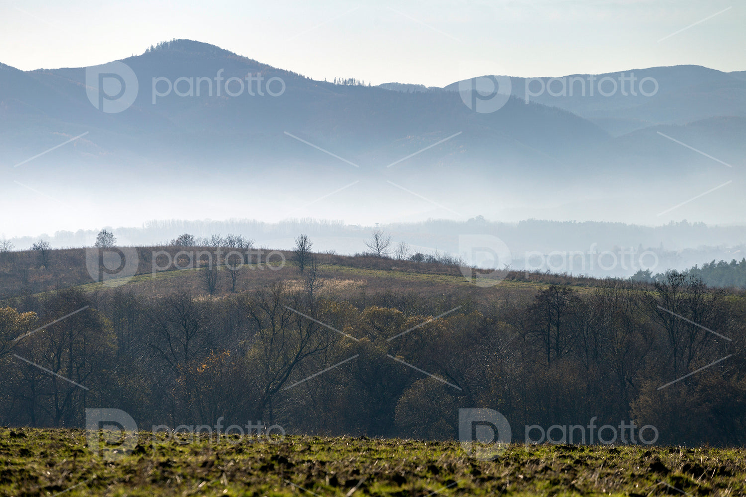 Winter landscape in the Zemplén mountains
