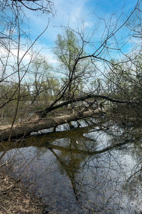 Bodrog river at Sárospatak