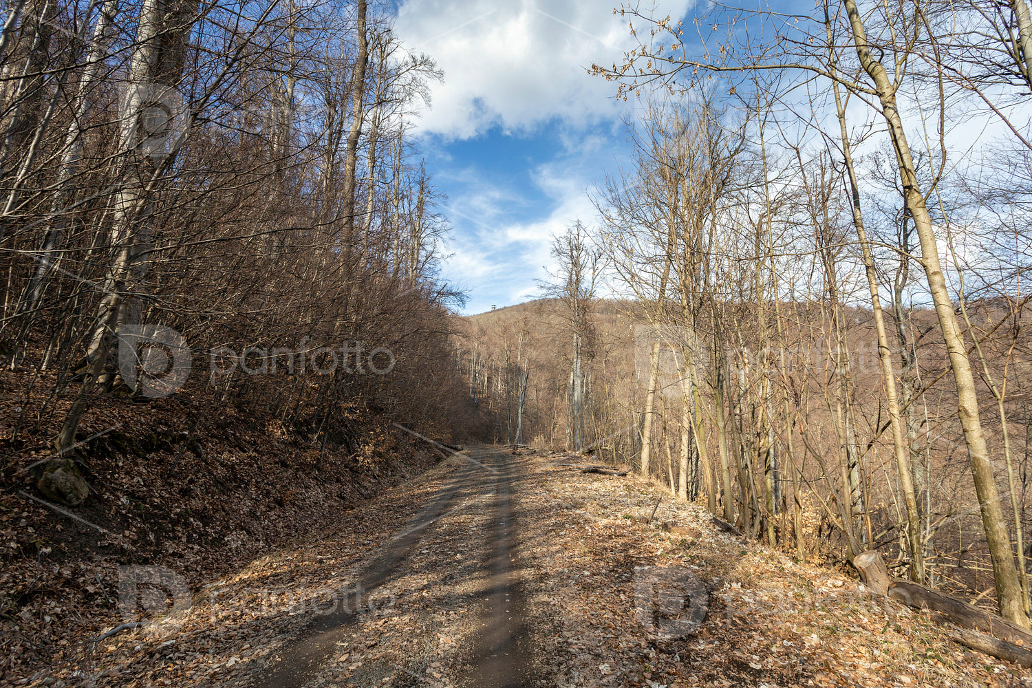 Hiking trail on the Nagy-Hideg-hegy in the Börzsöny