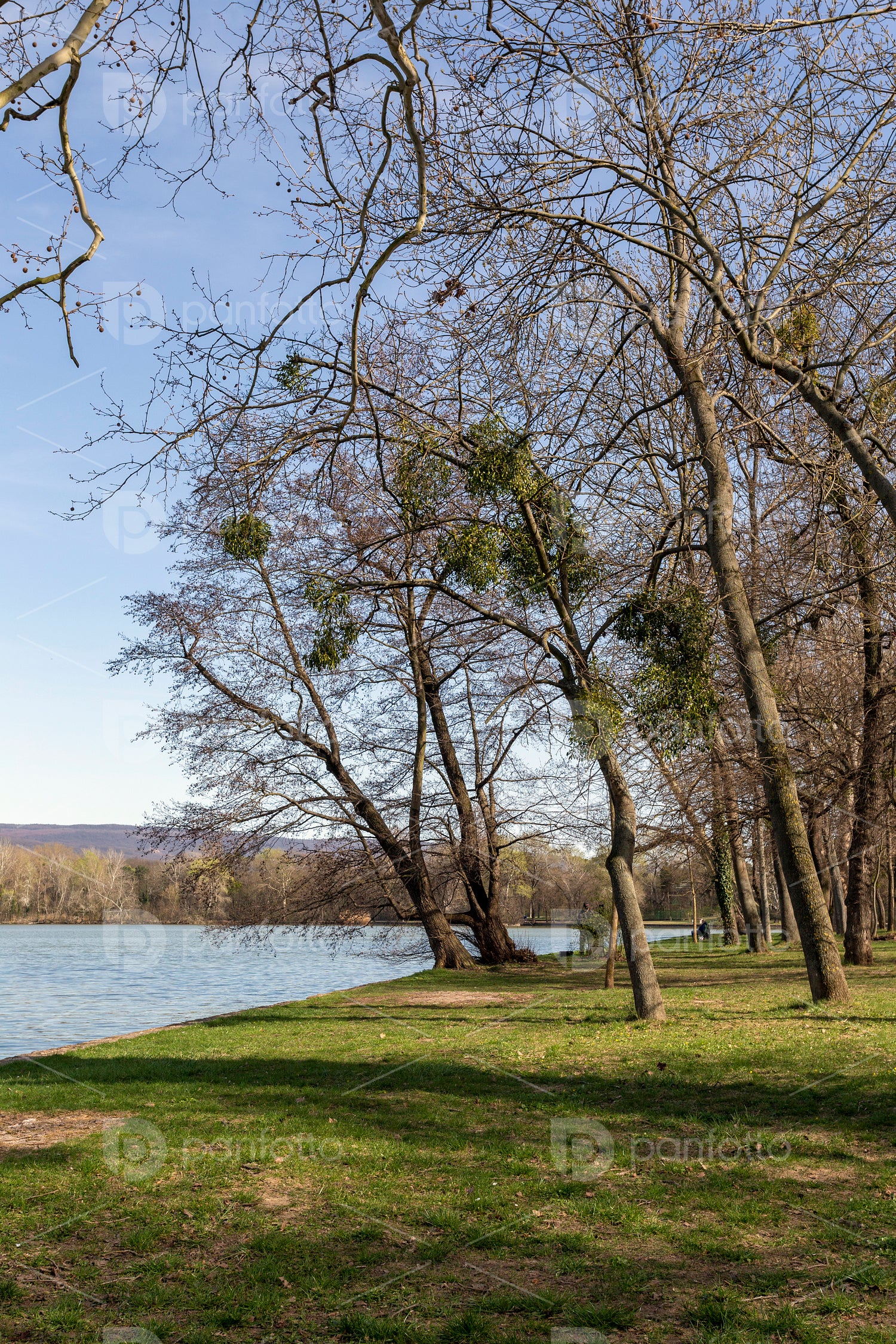 Cseke lake at the English garden in Tata
