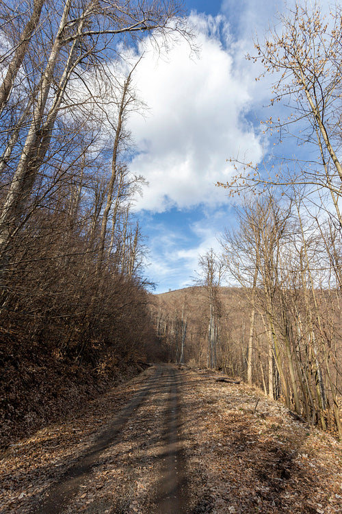 Hiking trail on the Nagy-Hideg-hegy in the Börzsöny