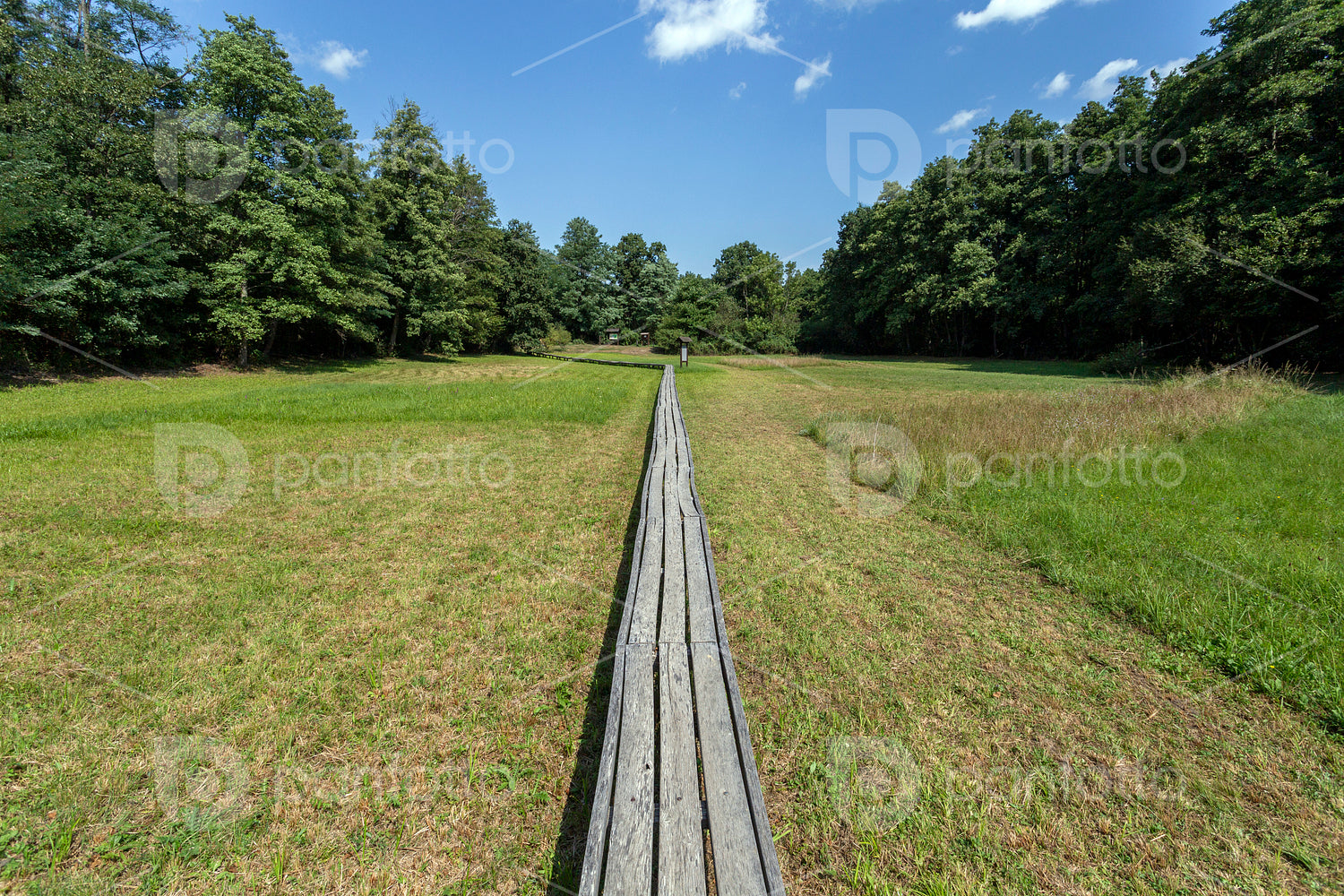 The moorland in Szőce