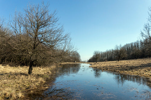 Small pond on the Nagy-Sas-hegy in the Börzsöny