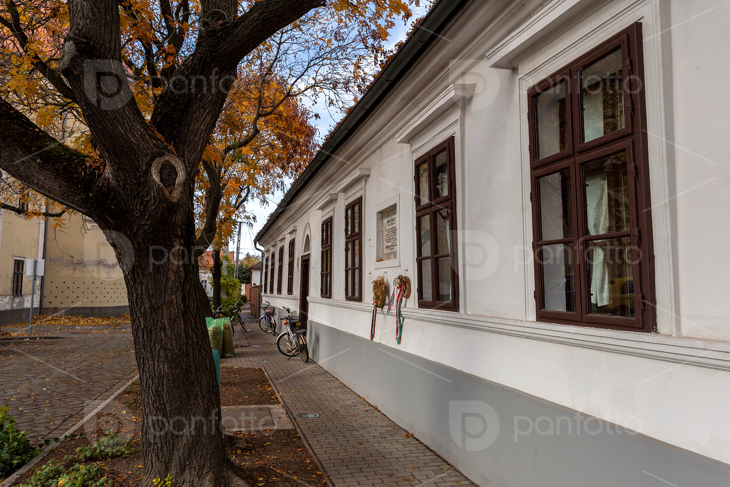 Ferenc Erkel Memorial House in Gyula
