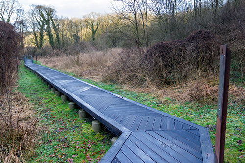 Wood pathwalk in Somogyvár