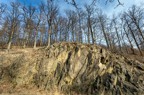 Volcanic rock on the Nagy-Hideg-hegy in the Börzsöny