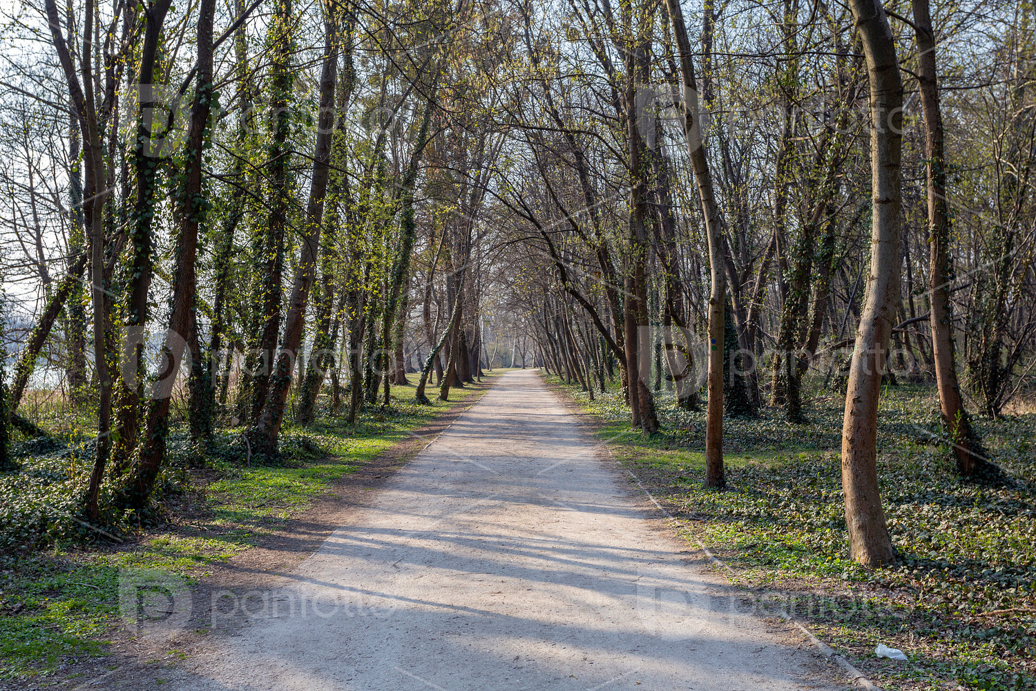 Walking path in the english garden of Tata, Hungary