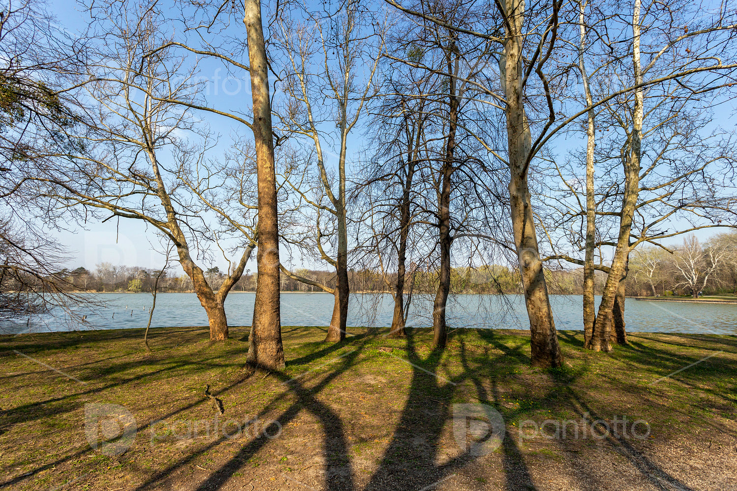 The Cseke lake in Tata, Hungary.