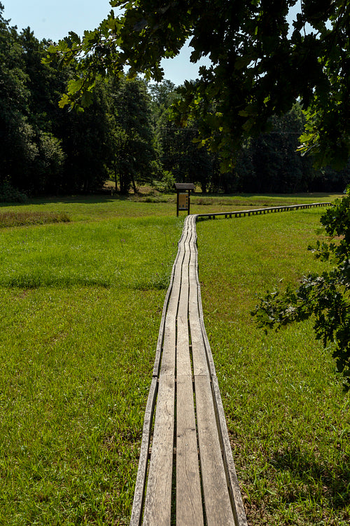 The moorland in Szőce