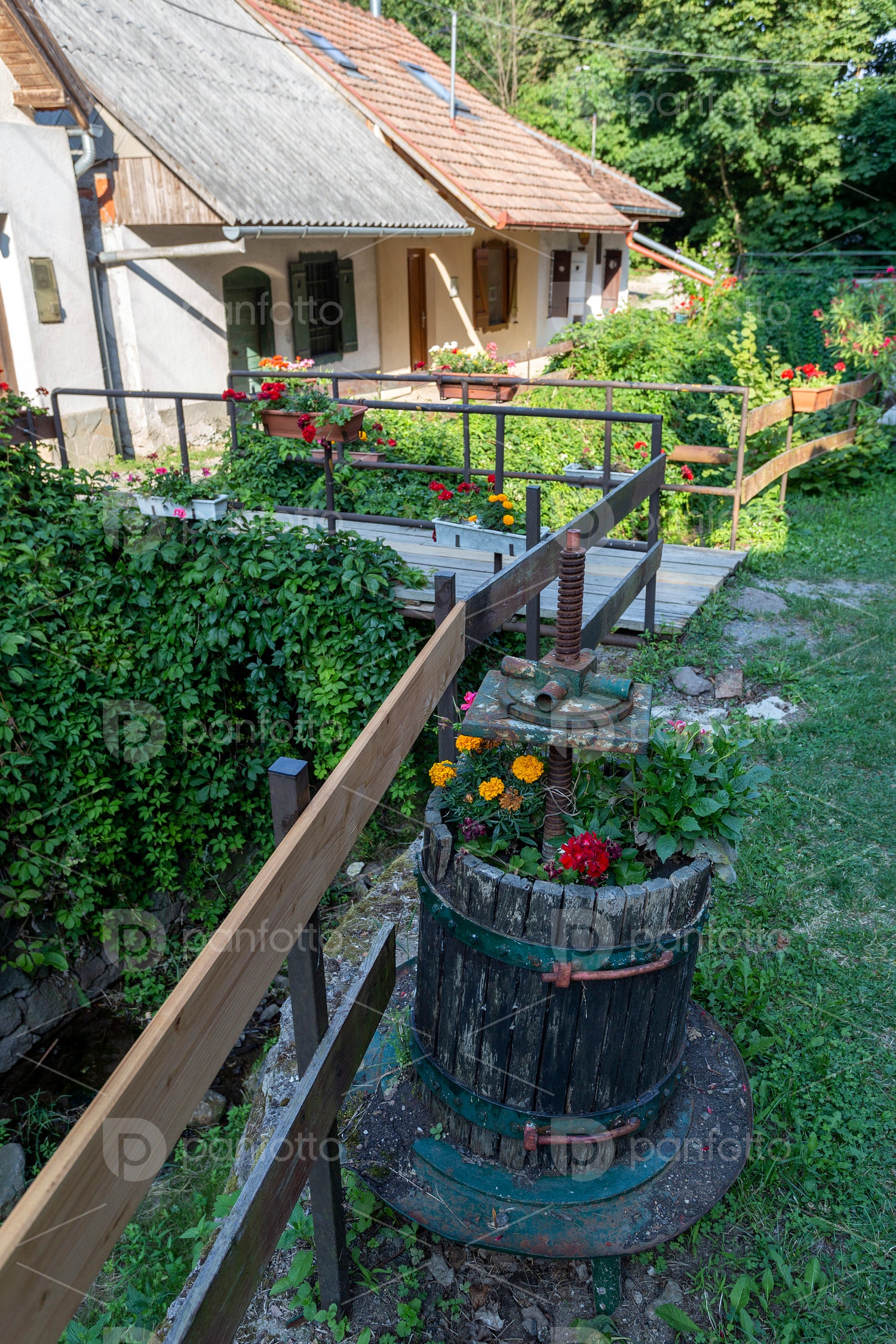 Wine cellars in Zsólyomka valley