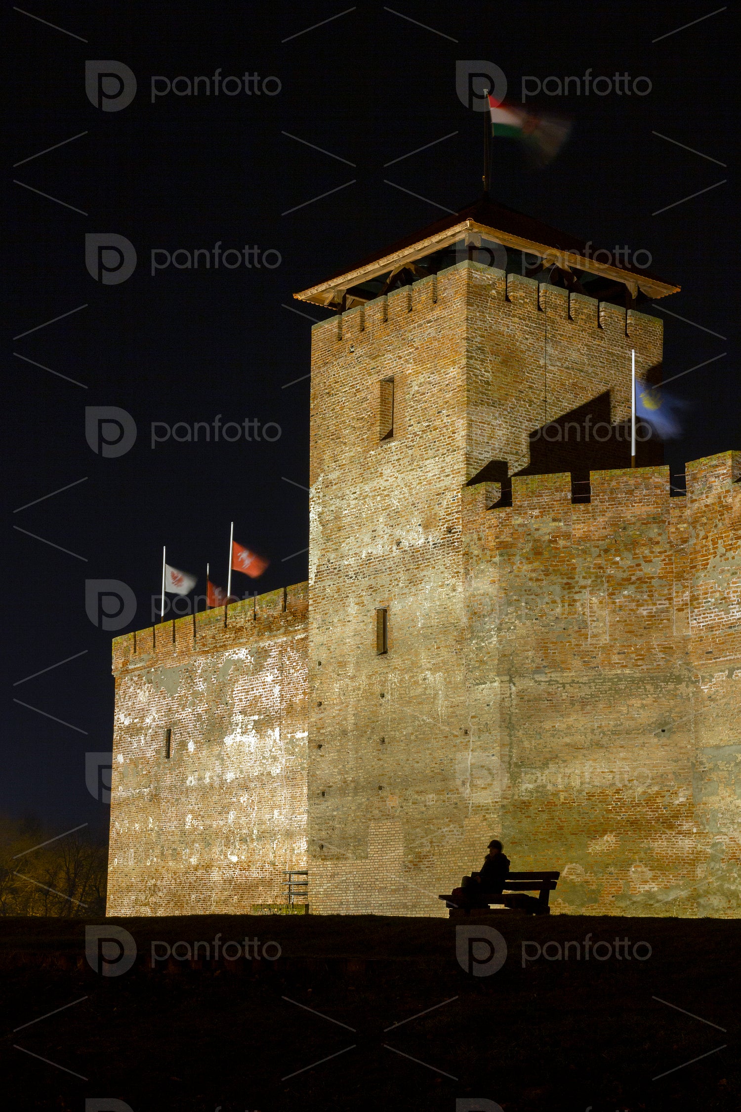Gyula Castle in Gyula on a winter night