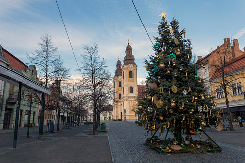 Christmas tree in the main square of Gyongyos