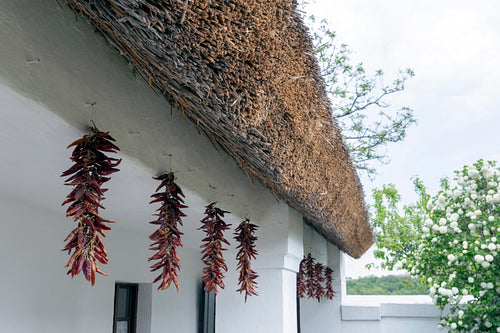 Traditional cottage house of Sükősd