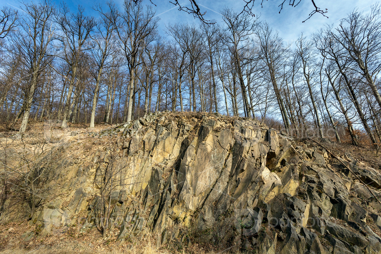 Volcanic rock on the Nagy-Hideg-hegy in the Börzsöny
