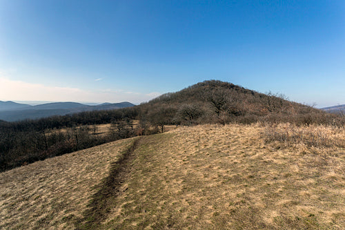 View from the Nagy-Sas-hegy in the Börzsöny
