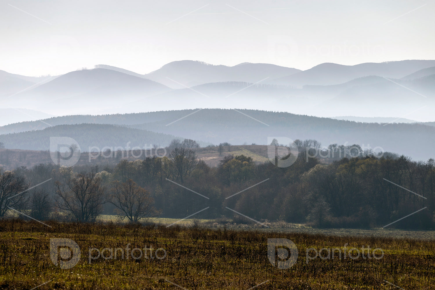 Winter landscape in the Zemplén mountains