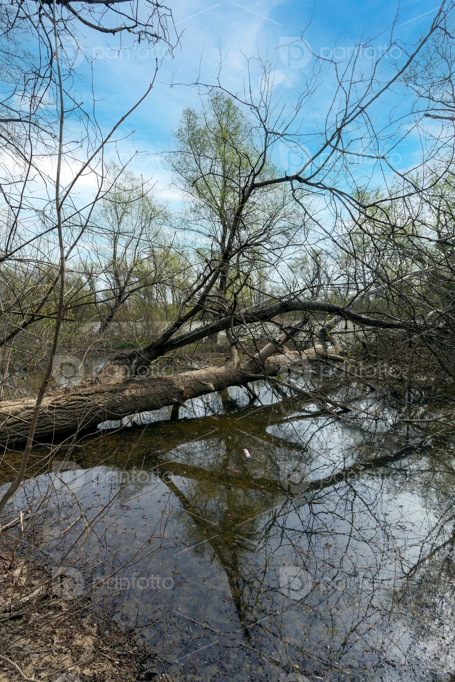 Bodrog river at Sárospatak