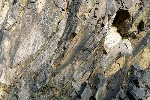 Volcanic rock on the Nagy-Hideg-hegy in the Börzsöny