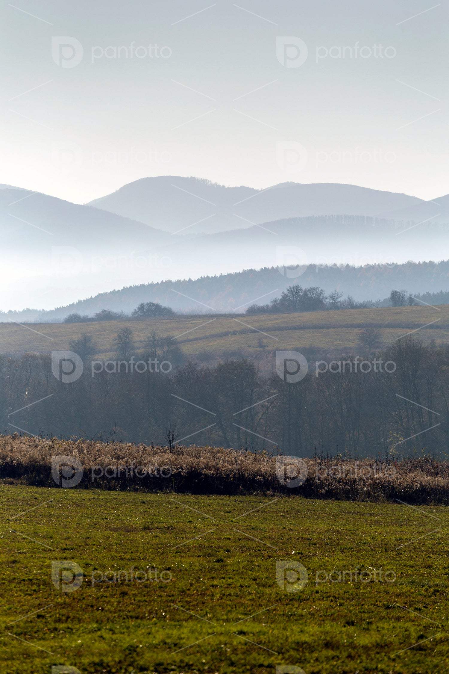Winter landscape in the Zemplén mountains