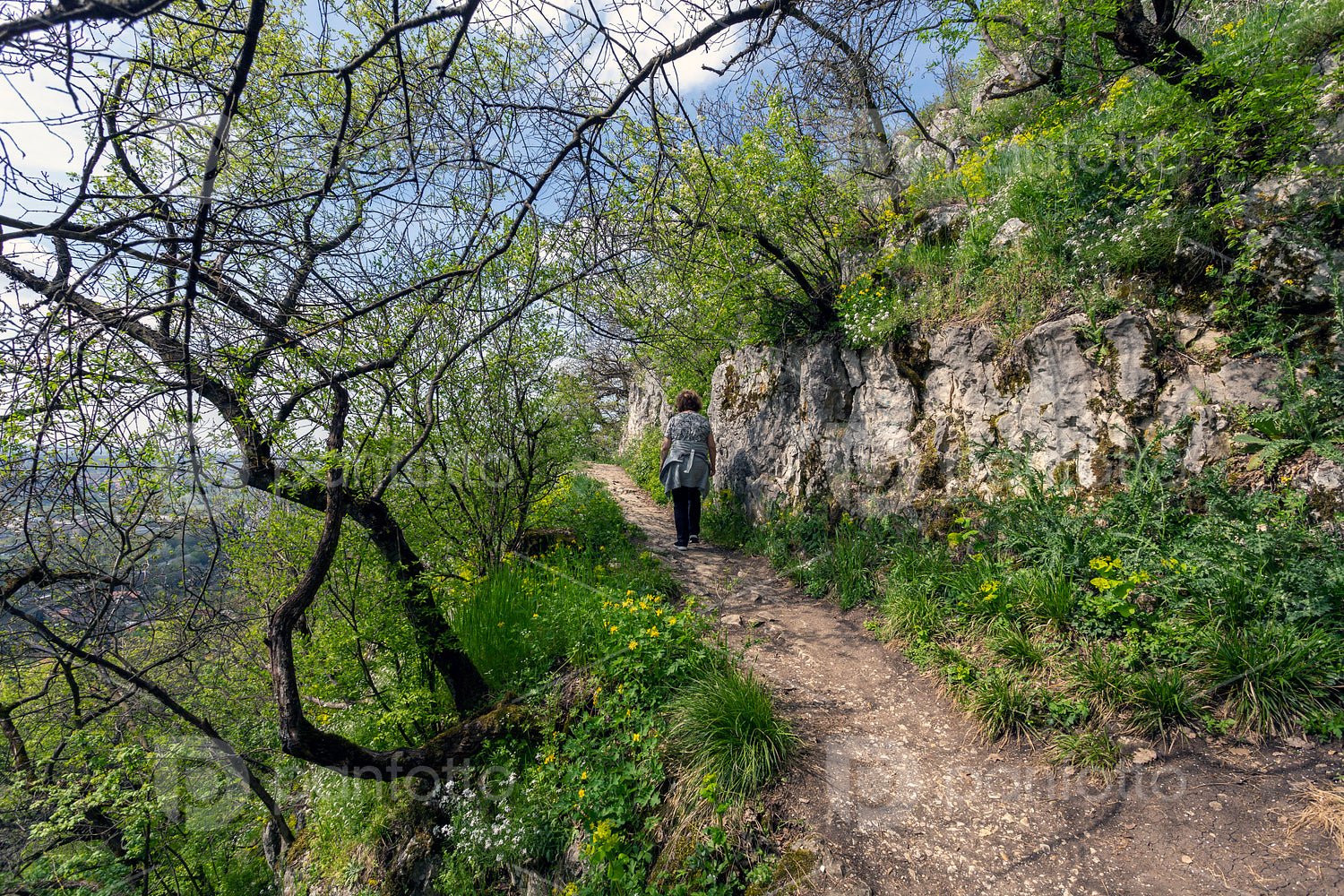 Hiking trail in the Gerecse mountains
