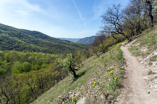Spartacus trail in the Visegrád Mountains