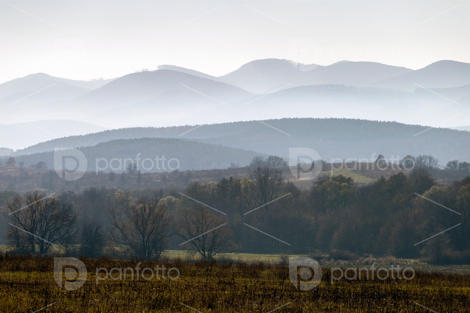Winter landscape in the Zemplén mountains
