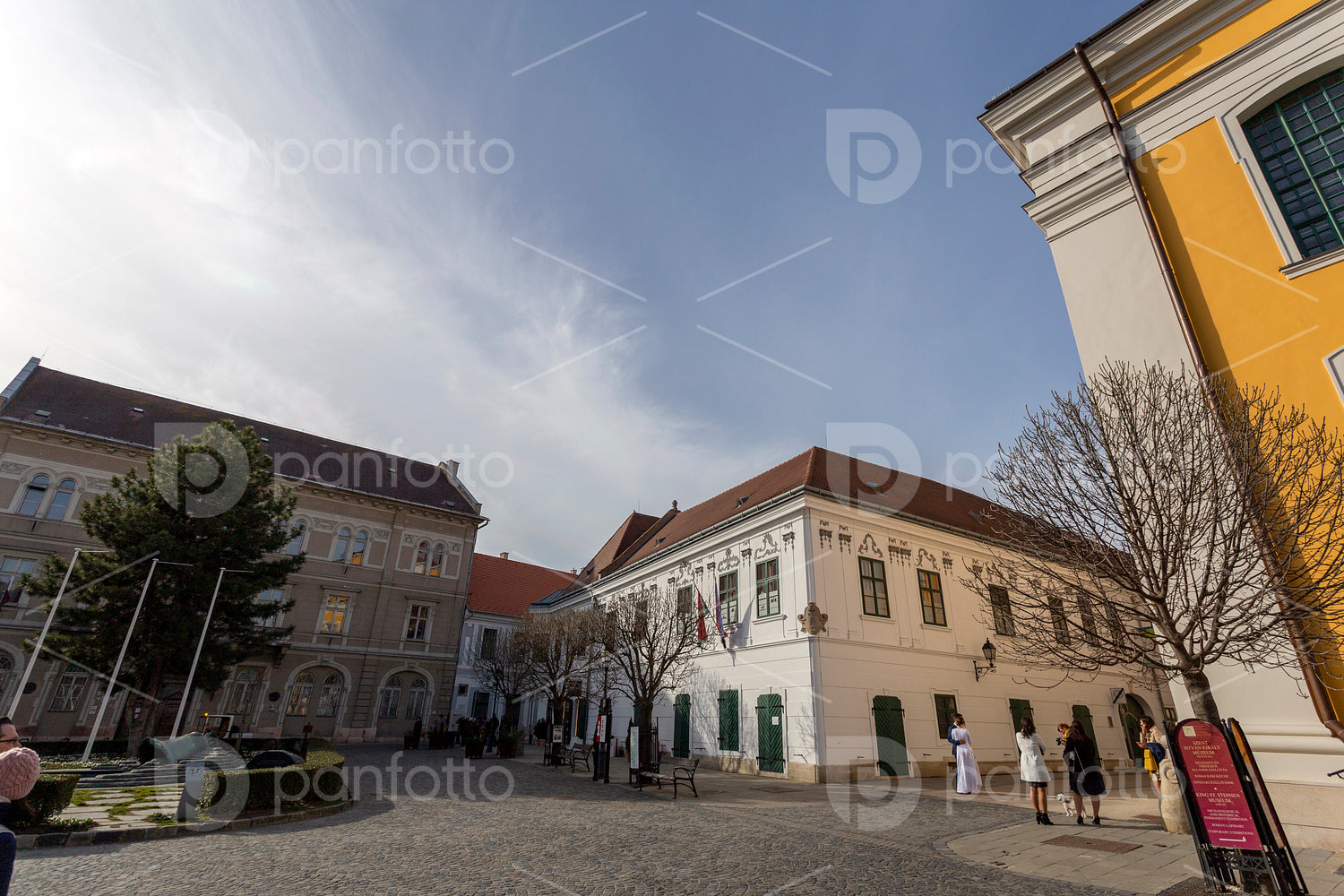 Cobblestone street in Székesfehérvár