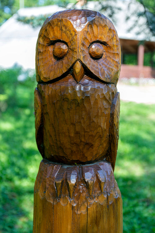 The garden of wooden grave posts