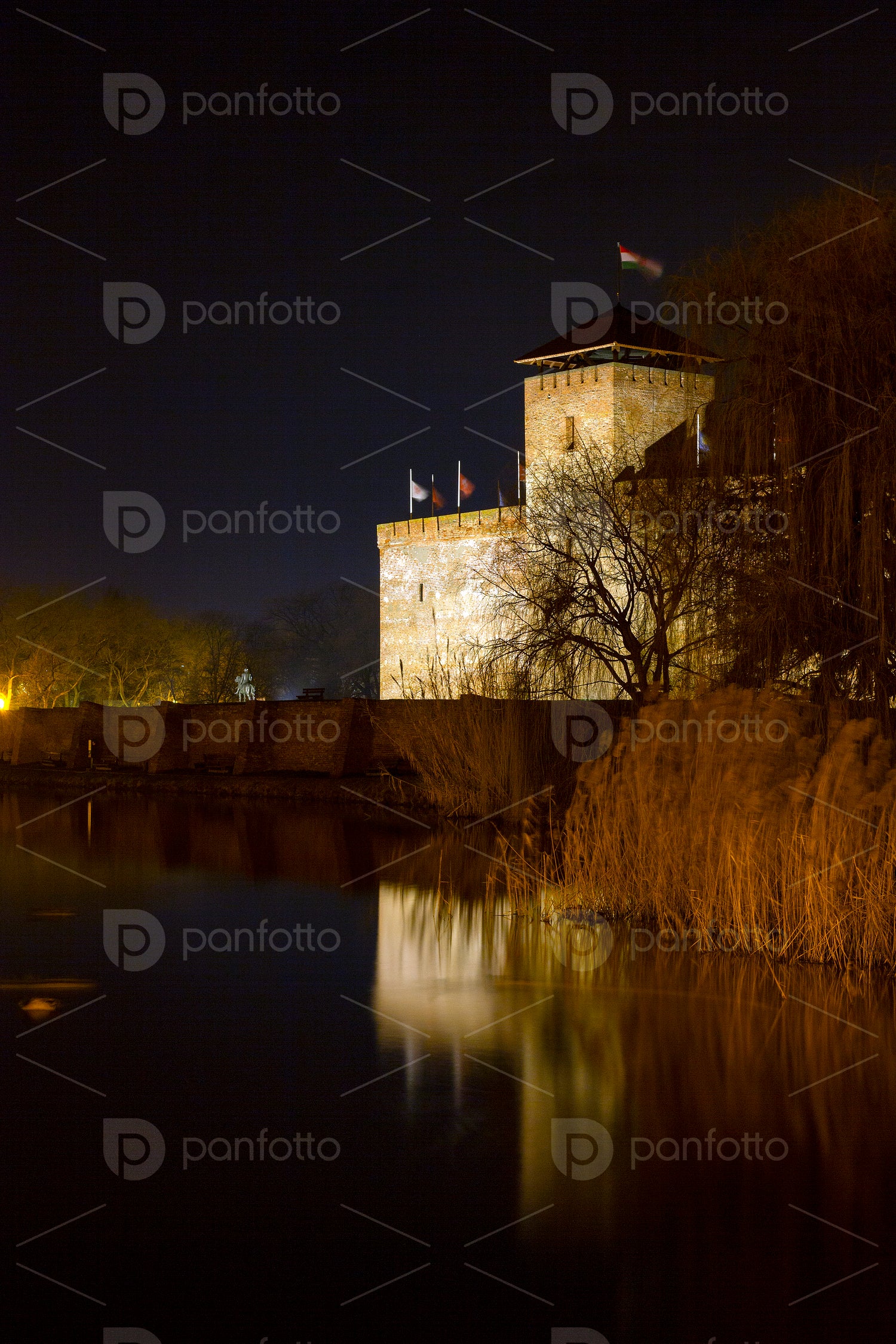 Gyula Castle in Gyula on a winter night