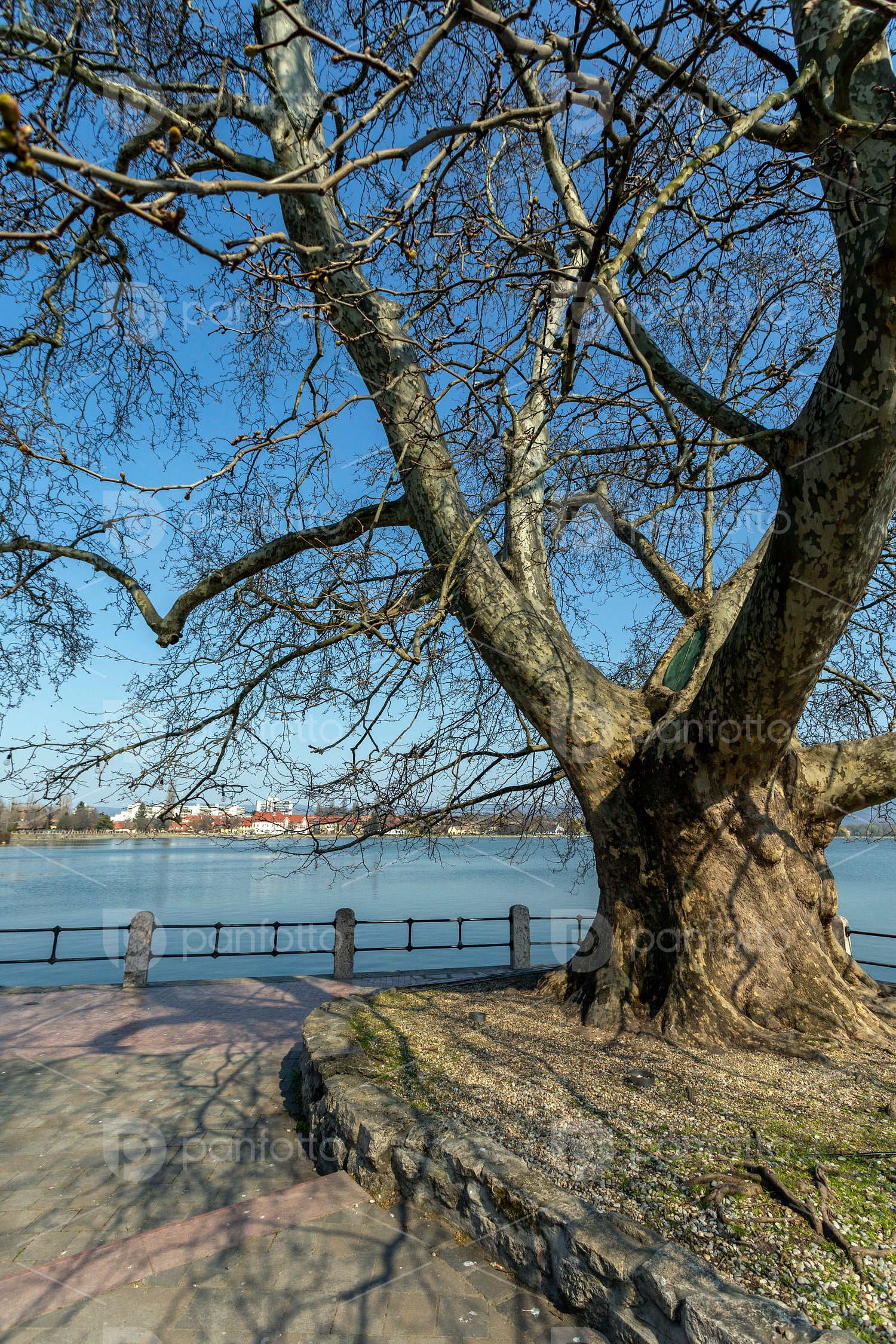 The old lake in Tata, Hungary with the statue of Saint John.