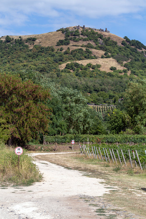 Ruins of the castle of Csobánc