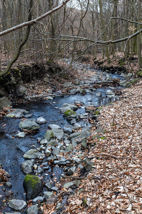 Small creek on the Nagy-Hideg-hegy in the Börzsöny
