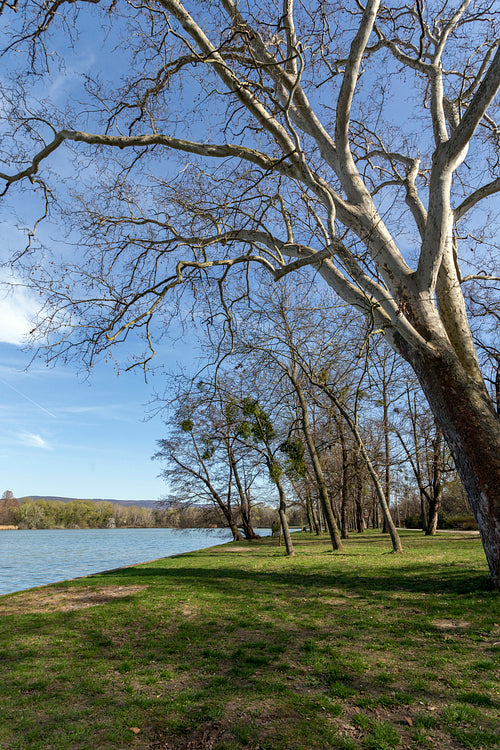 Cseke lake at the English garden in Tata