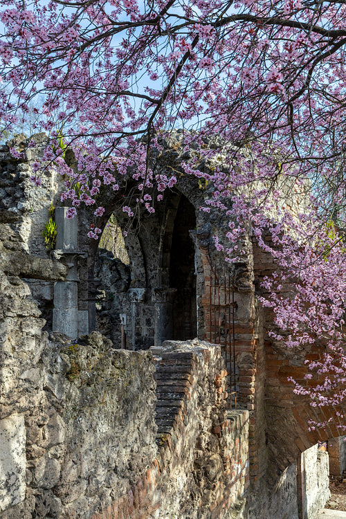 Artificial ruins at the English garden in Tata