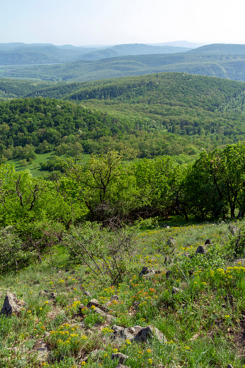 Börzsöny mountains